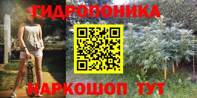 ешки Пенза